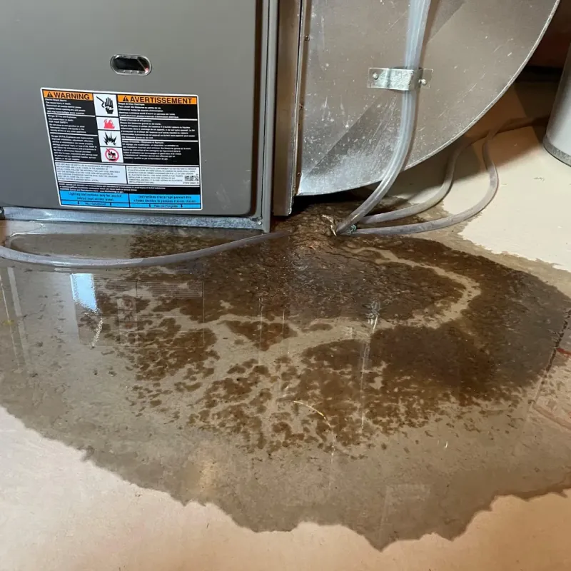 Appliance Leak Cleanup in Dania Beach, FL